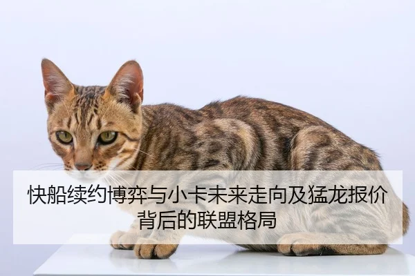 快船续约博弈与小卡未来走向及猛龙报价背后的联盟格局
